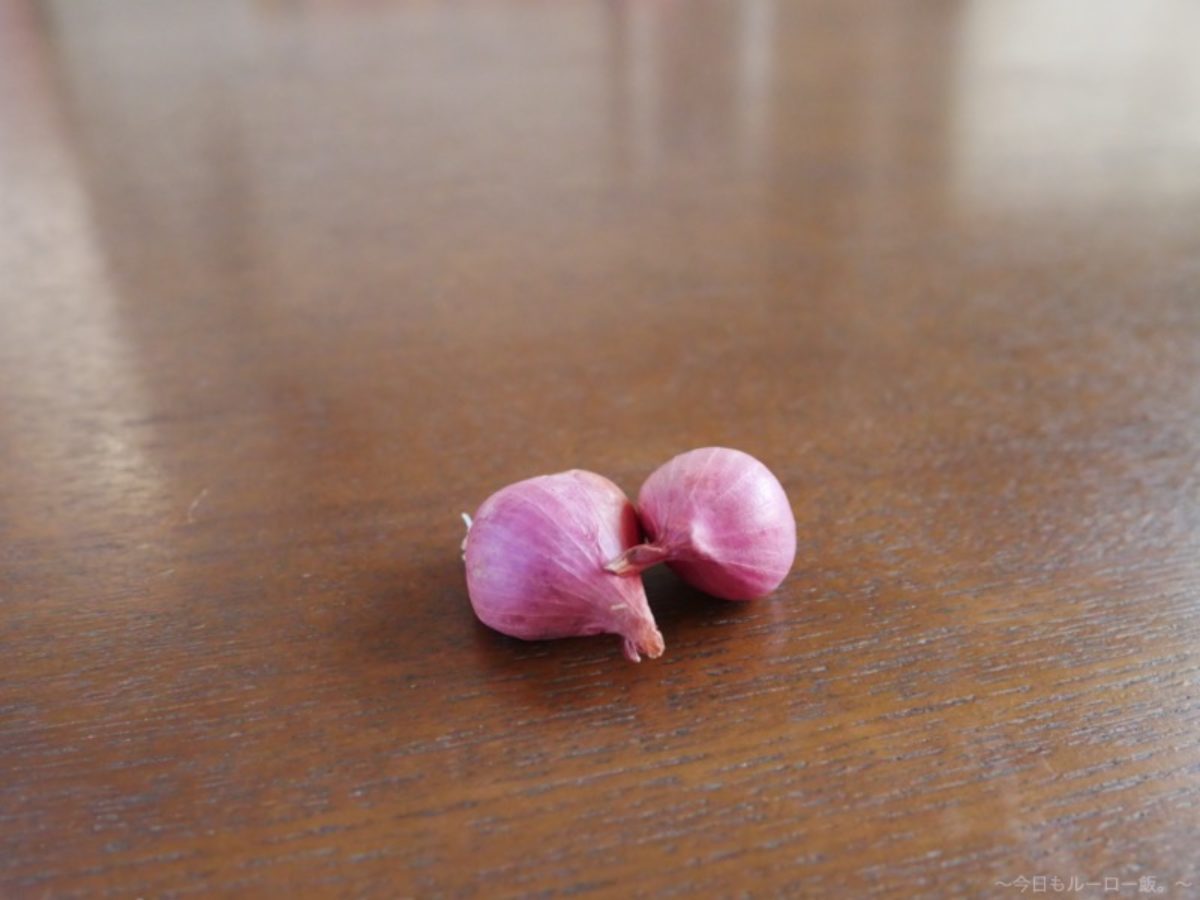 魯肉飯に大切な香りを与える油蔥酥 ようつぉんすー のおはなし 今日もルーロー飯